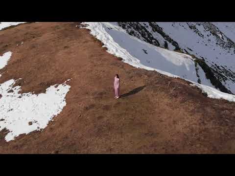 Otocyon – Soft Power