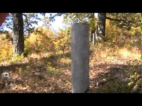 Varrezat e Seferëve