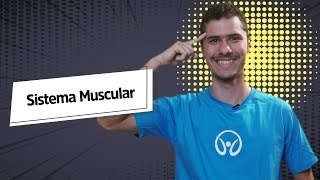 Sistema Muscular - Brasil Escola