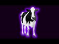 Cow Moo Sound Effects