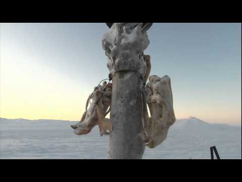 LAVINIA'S STORY (Promo)