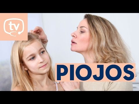 Mi hijo tiene piojos, ¿qué hago?