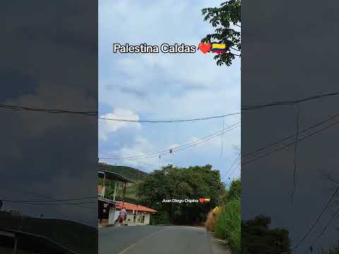 Palestina Caldas, No Te Vayas Sin Seguirme Muchas Gracias ❤️🇨🇴 #pueblo #palestinacaldas #ejecafetero