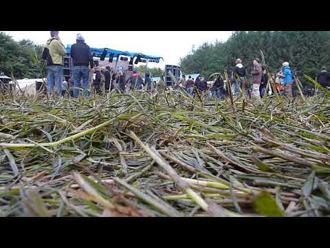 Live david Green infrabass Crossfire 3 2012 T.lesco.P ( Botmeur 29) *5