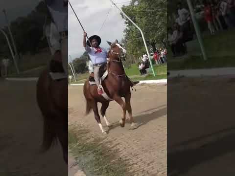 tapebicua corrientes defile en onor a los caídos de Malvinas.
