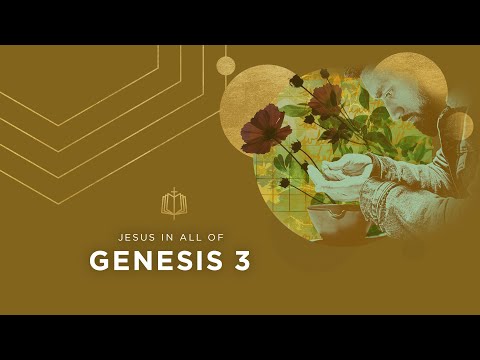 Genesis 3 | The Fall | Bible Study