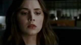 Full Blown Rose   In the air