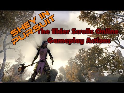 PC - EU | Colosseum Tournament bombed 30.07.2016