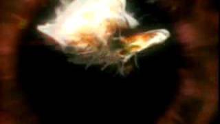 Christina Aguilera - Here To Stay (Back to Basics Version)