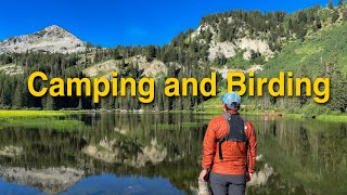 A Weekend of Mountain Birding and Camping | birding vlog