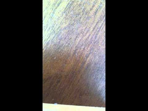 download lagu mp3 mp4 Fddgf, download lagu Fddgf gratis, unduh video klip Fddgf