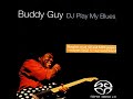 The Garbage Man Blues  BUDDY GUY