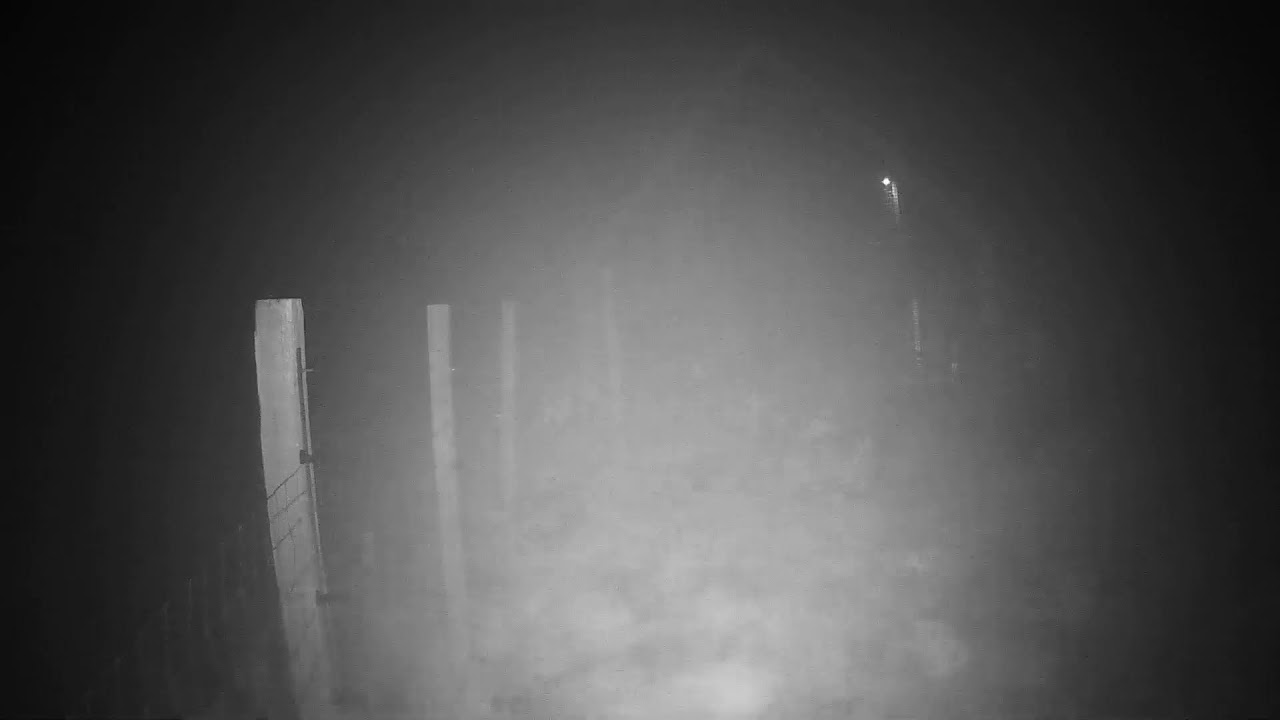 Live webcam view of Hábitat de osos grizzly en Grouse Mountain