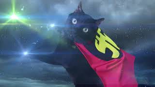 Super Hero Cat (Official Music Video) - N2 the Talking Cat S2 Ep18