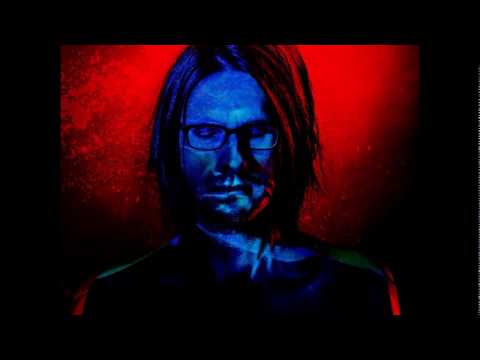 Steven Wilson - Song Of Unborn