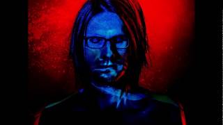 Steven Wilson - Song Of Unborn