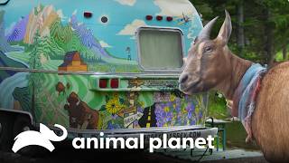 Thumbnail del capítulo