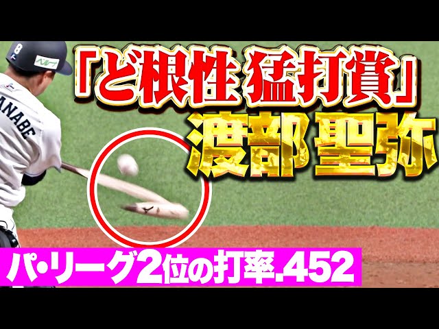 【種市攻略のお手本!?】渡部聖弥『バット折りながら…“ど根性ヒット”含む3安打猛打賞で打率.452』