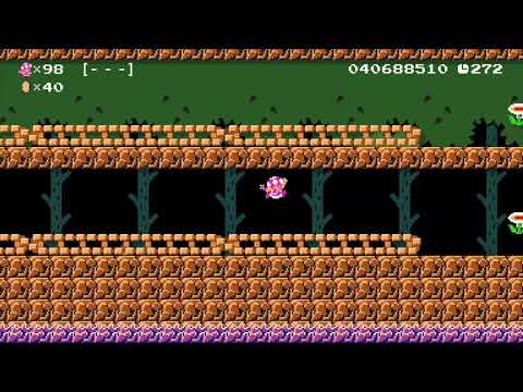 I complete my 1391st endless easy level in super mario maker 2