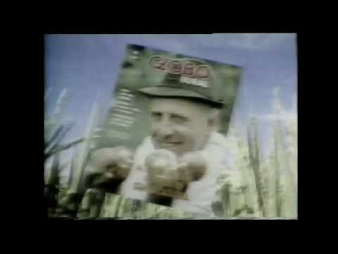 Intervalos TV Campinas - Festival de Sucessos - 16/02/1989