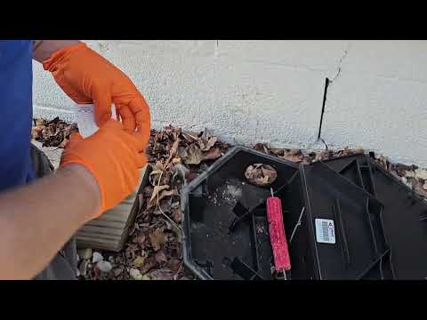 Refresh the Bait Inside the Rodent Bait Station in Island Heights, NJ