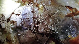 Cocteau Twins ~ “When mama was moth” [Subtitulado]