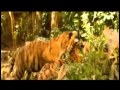 Andy Williams - Born Free