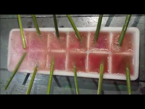 #Ice-cream Khia#rinki | #storytelling|#rinkirinki