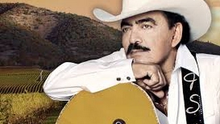 Joan Sebastian - Lobo Domesticado (Letra)