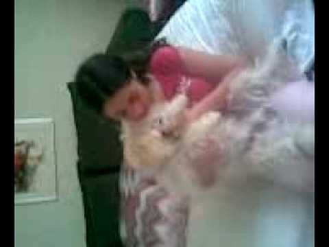 puppy aaauuuh! so cute!!!!