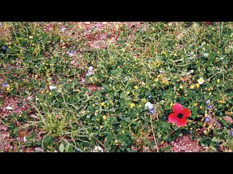 KARVELAS JOHN  MICHALIOS  KOSTAS KARYOTAKIS