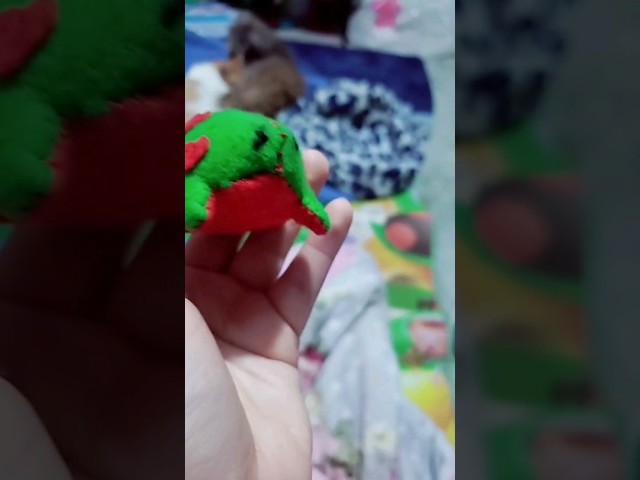 Vídeo relacionado con Rayher Motivos Fieltro del mar, Mezcla, autoadh, 4cm, Bolsa 100uds, Coloreado, 43002999