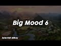 Big Mood 6 - Selectah Mikey
