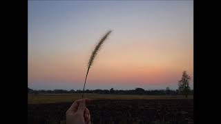 Jason Koiter - Amanda&#39;s Song