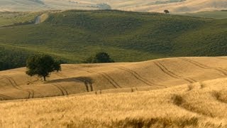 relaxdaily N°072 - inspirational instrumental music - study, work, relax, enjoy - Tuscany