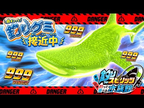 オオメジロザメまたはマンゴナザメ