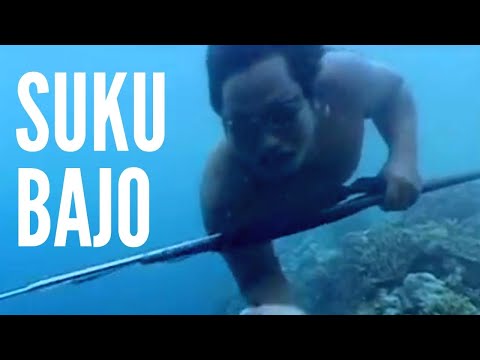 Suku Bajo Pemburu Ikan Paling Mahir | 80% laki-laki Bajo Gendang Telinganya Pecah