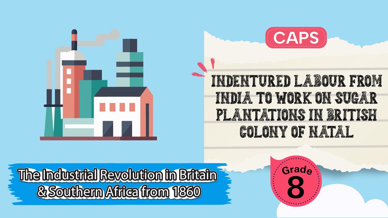 Indentured Labour from India to Work on Sugar Plantations in British Colony of Natal