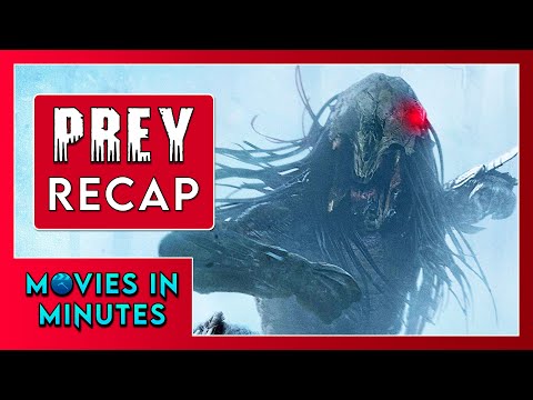 Prey in Minutes | Recap