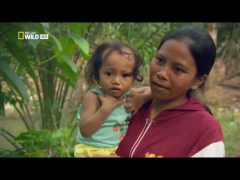 Nat Geo WILD  Deadly Crocodiles of the Nile River   World's Deadliest Animal Documentary