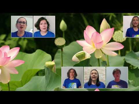 Canção à Scheilla - Coral Irmã Scheilla