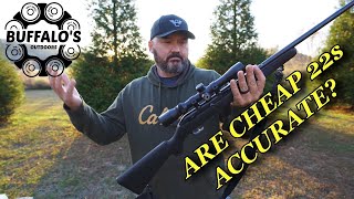 Download lagu How accurate are cheap 22s? (ft. Savage model 64) mp3 Download lagu How accurate are cheap 22s? (ft. Savage model 64) mp3