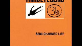 Third Eye Blind - Semi-Charmed Life (Clean Radio Edit)