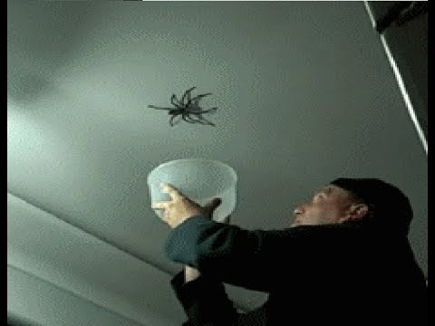 Top 10 Fail Gifs