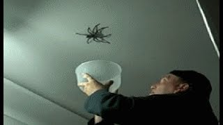 TOP 10 FAIL GIFS