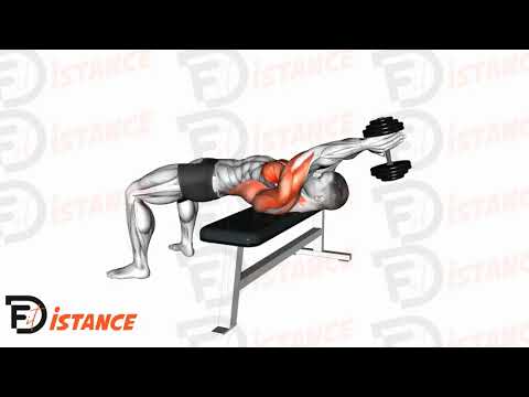 Pull over à l'haltère - Exercice Pull over à l'haltère en vidéo