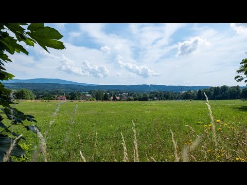 Prodej louky 53774 m2, Jindřichovice pod Smrkem