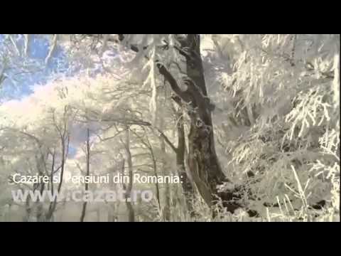 Cazare Bodesti, Prahova - Cazat.ro