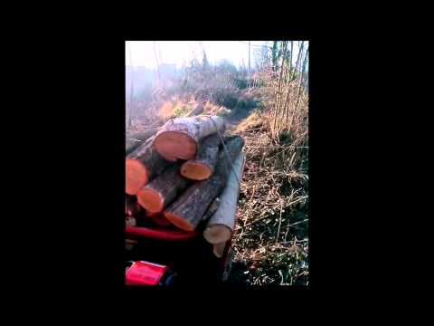 motocariola ibea IBT 500 kg