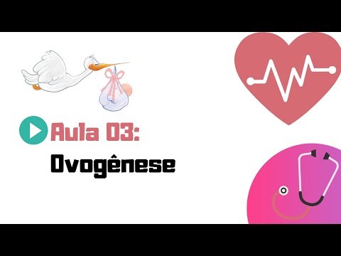 EMBRIOLOGIA HUMANA | AULA 03 | OVOGÊNESE/OOGÊNESE